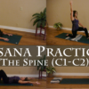 Course: Yoga Therapy to Address Neck Pain with Brian Dorfman - 4.0 Hrs - Image 4