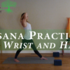 Course: Yoga Therapy for the Wrist and Hands with Monique Lonner - 4.0 Hrs - Image 4