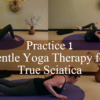 Online Certification: Gentle Yoga for Low Back Care Specialty with Justine Shelton - 40 Hrs - Image 5